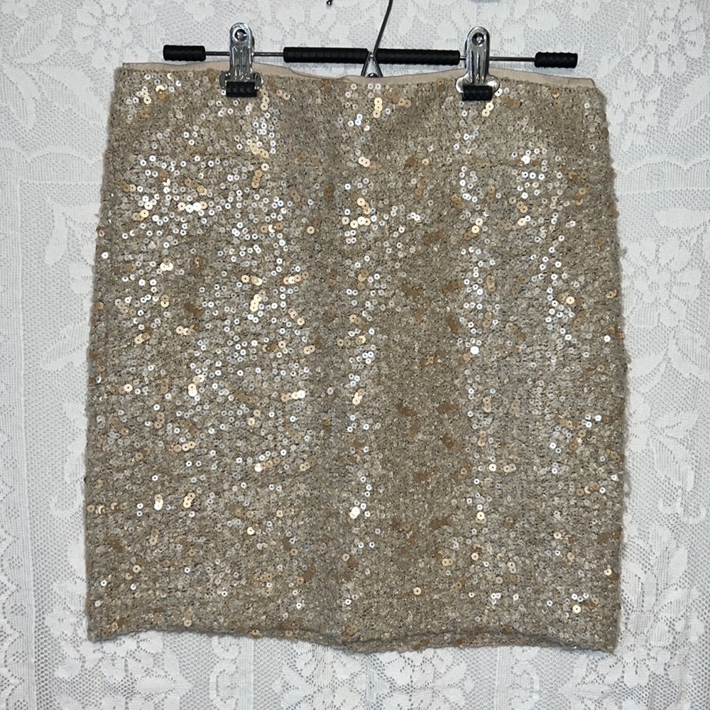 Sequin Skirt